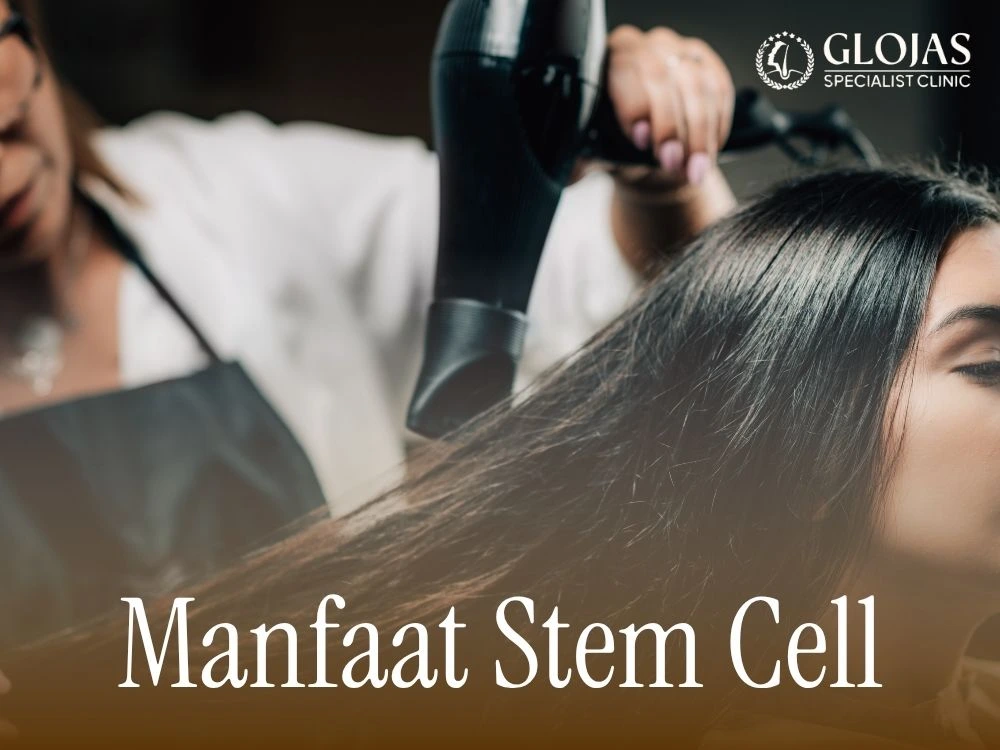 manfaat stem cell